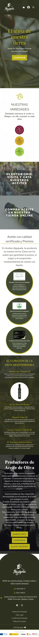 Vista móvil del proyecto