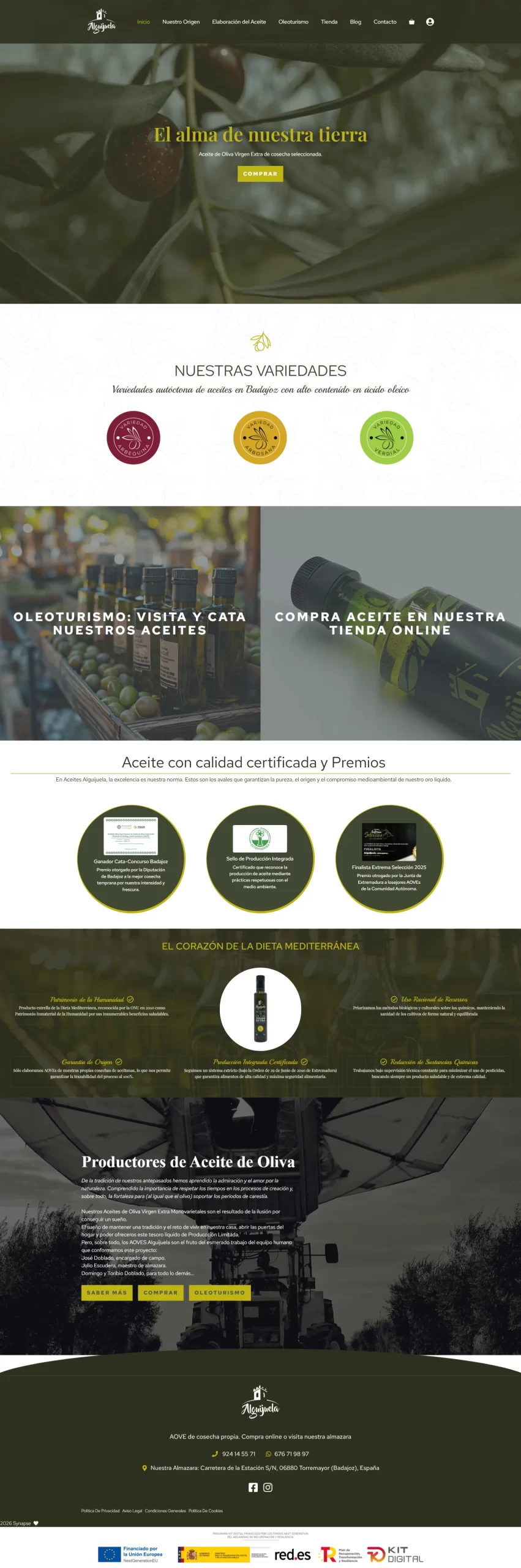 Vista desktop del proyecto