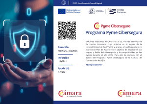 Ayuda Pyme cibersegura