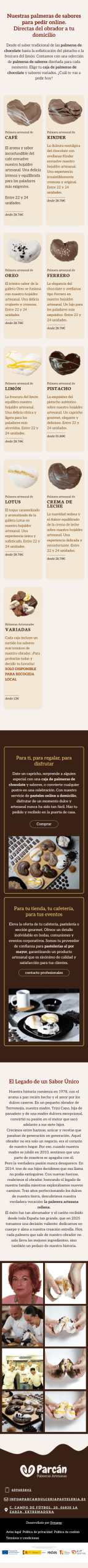 Vista móvil del proyecto