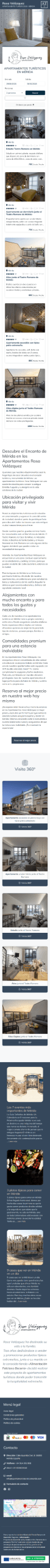 Vista móvil del proyecto