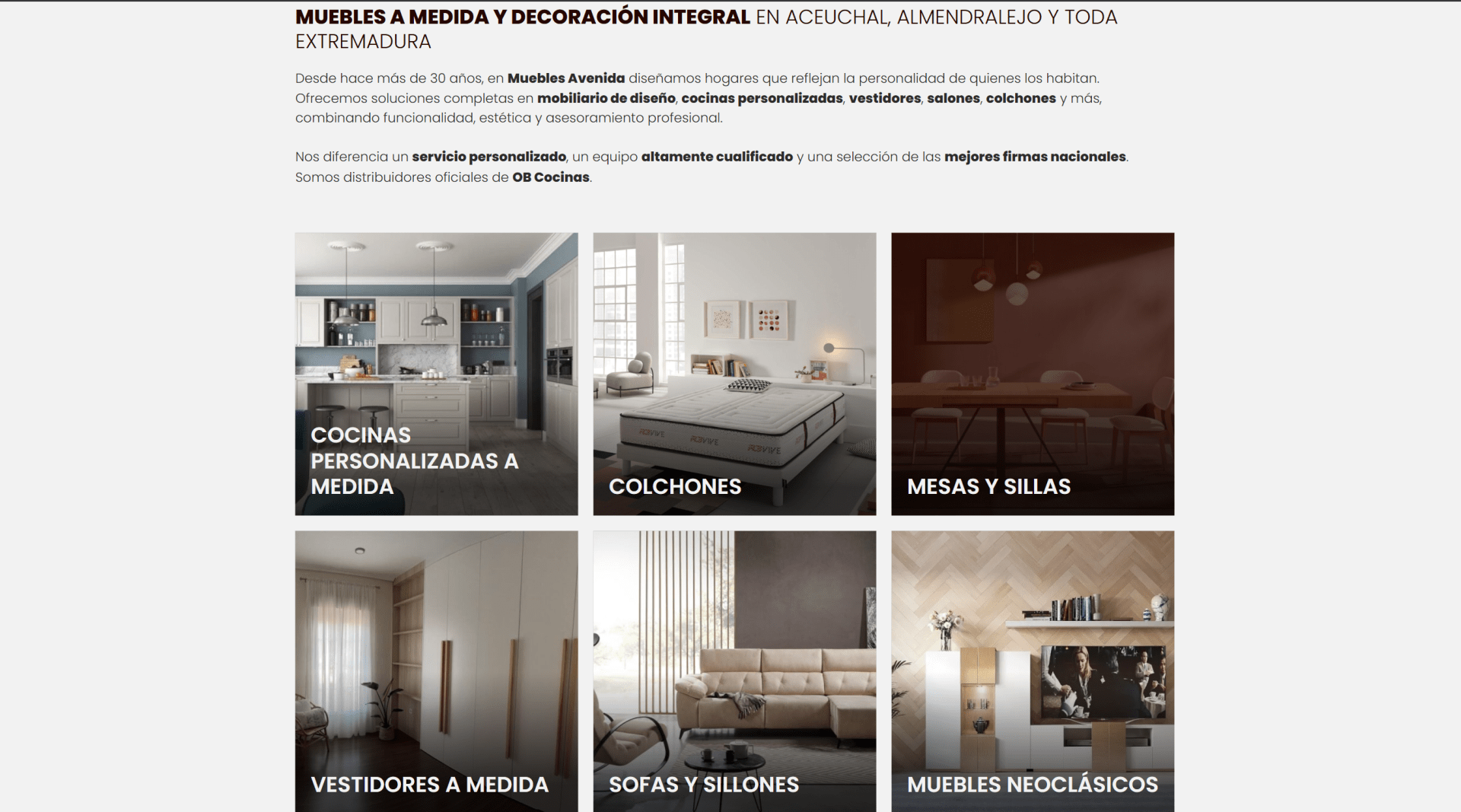Vista desktop del proyecto