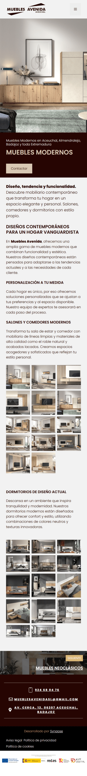 Vista móvil del proyecto